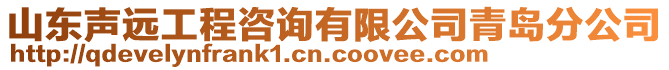 山東聲遠(yuǎn)工程咨詢有限公司青島分公司