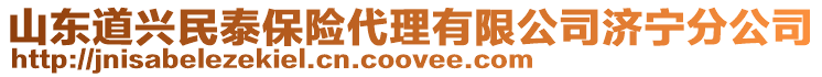 山東道興民泰保險代理有限公司濟寧分公司