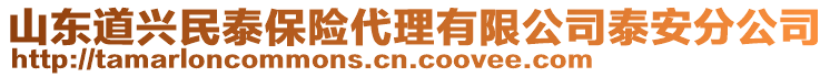 山東道興民泰保險代理有限公司泰安分公司