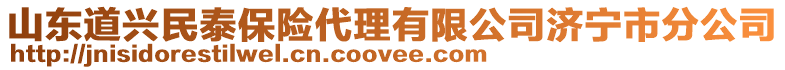 山東道興民泰保險代理有限公司濟寧市分公司