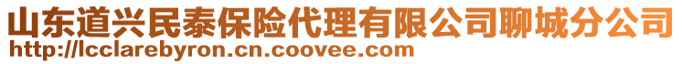 山東道興民泰保險代理有限公司聊城分公司