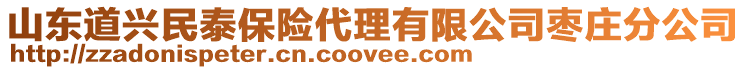 山東道興民泰保險代理有限公司棗莊分公司