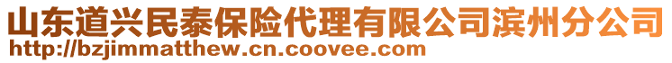 山东道兴民泰保险代理有限公司滨州分公司