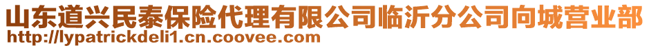 山東道興民泰保險代理有限公司臨沂分公司向城營業(yè)部