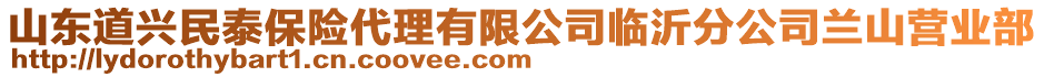 山東道興民泰保險代理有限公司臨沂分公司蘭山營業部