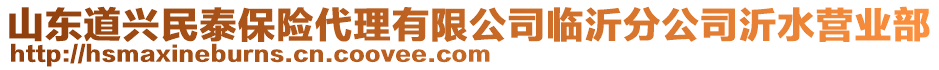 山東道興民泰保險(xiǎn)代理有限公司臨沂分公司沂水營業(yè)部