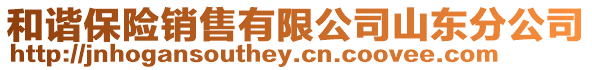 和諧保險(xiǎn)銷售有限公司山東分公司