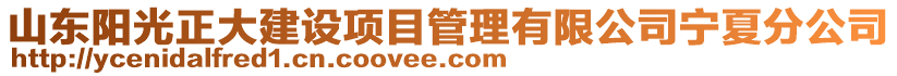 山東陽光正大建設(shè)項目管理有限公司寧夏分公司