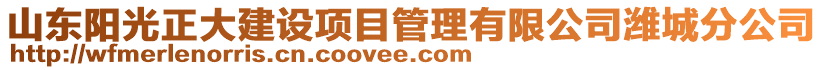 山東陽光正大建設項目管理有限公司濰城分公司