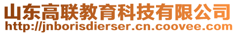 山東高聯(lián)教育科技有限公司