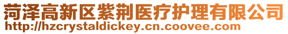 菏澤高新區(qū)紫荊醫(yī)療護理有限公司