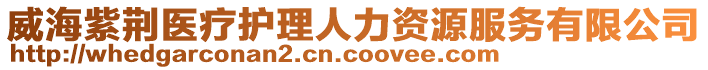 威海紫荊醫療護理人力資源服務有限公司