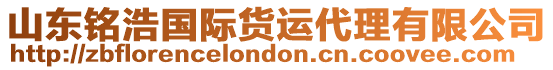 山東銘浩國際貨運代理有限公司