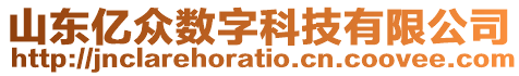 山東億眾數(shù)字科技有限公司