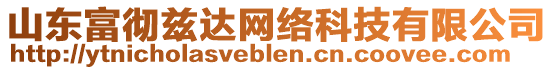 山東富徹茲達(dá)網(wǎng)絡(luò)科技有限公司