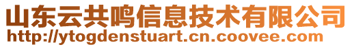 山東云共鳴信息技術有限公司