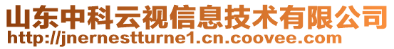 山東中科云視信息技術(shù)有限公司