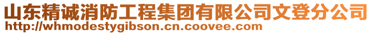 山東精誠消防工程集團有限公司文登分公司