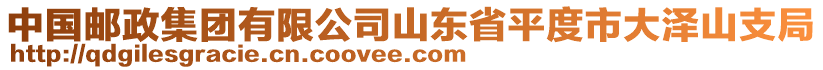 中國郵政集團(tuán)有限公司山東省平度市大澤山支局