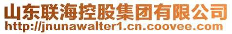 山東聯(lián)?？毓杉瘓F(tuán)有限公司