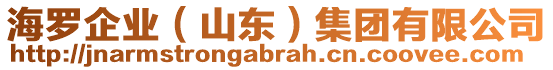 海羅企業(yè)（山東）集團(tuán)有限公司