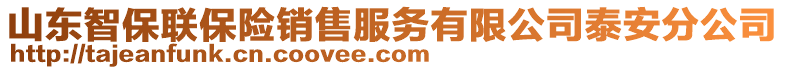 山東智保聯保險銷售服務有限公司泰安分公司