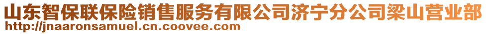 山東智保聯(lián)保險銷售服務(wù)有限公司濟(jì)寧分公司梁山營業(yè)部