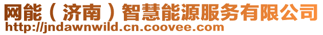 網(wǎng)能(濟南)智慧能源服務(wù)有限公司