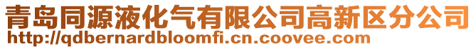 青島同源液化氣有限公司高新區分公司