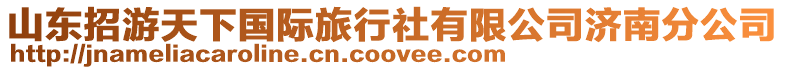 山東招游天下國際旅行社有限公司濟南分公司