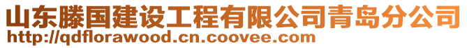 山東滕國建設工程有限公司青島分公司