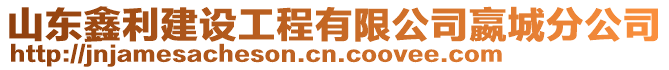 山東鑫利建設工程有限公司嬴城分公司