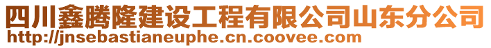 四川鑫騰隆建設工程有限公司山東分公司