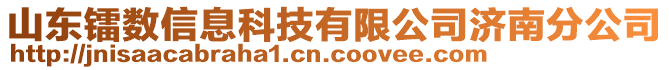 山東鐳數信息科技有限公司濟南分公司