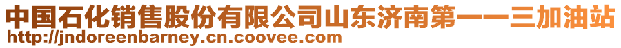 中國石化銷售股份有限公司山東濟南第一一三加油站