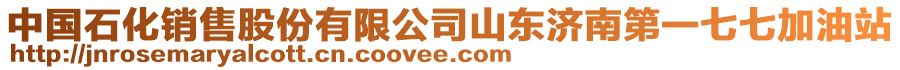 中國石化銷售股份有限公司山東濟南第一七七加油站
