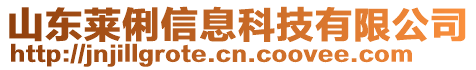 山東萊俐信息科技有限公司