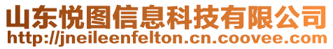 山東悅圖信息科技有限公司