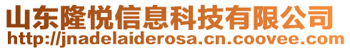 山東隆悅信息科技有限公司
