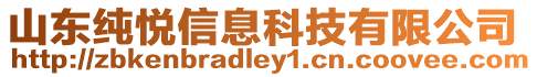 山東純悅信息科技有限公司