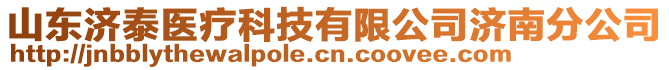 山東濟(jì)泰醫(yī)療科技有限公司濟(jì)南分公司