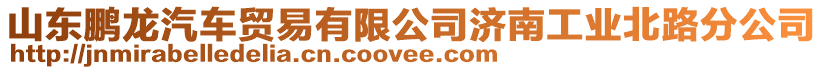 山東鵬龍汽車貿易有限公司濟南工業北路分公司