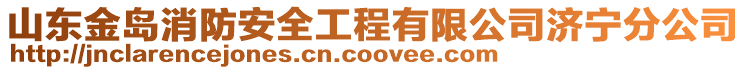 山東金島消防安全工程有限公司濟寧分公司