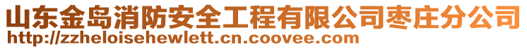 山東金島消防安全工程有限公司棗莊分公司