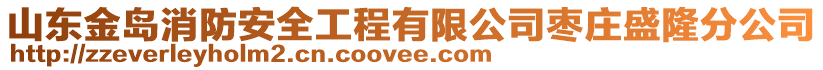 山東金島消防安全工程有限公司棗莊盛隆分公司