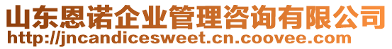 山東恩諾企業管理咨詢有限公司