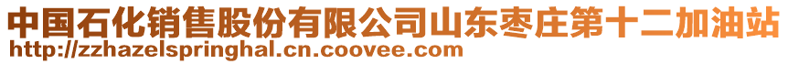 中國石化銷售股份有限公司山東棗莊第十二加油站