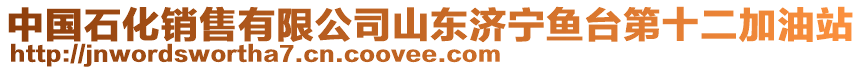 中國石化銷售有限公司山東濟寧魚臺第十二加油站