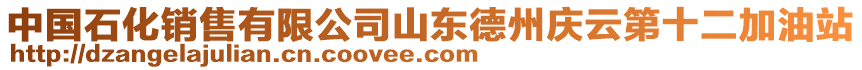 中國石化銷售有限公司山東德州慶云第十二加油站