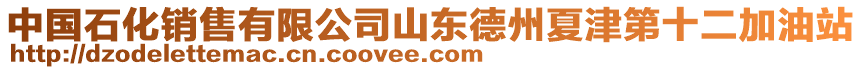 中國(guó)石化銷售有限公司山東德州夏津第十二加油站